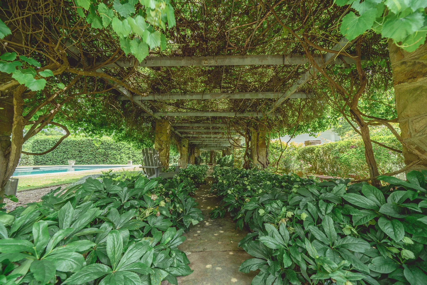 Bright Landscapes LLC