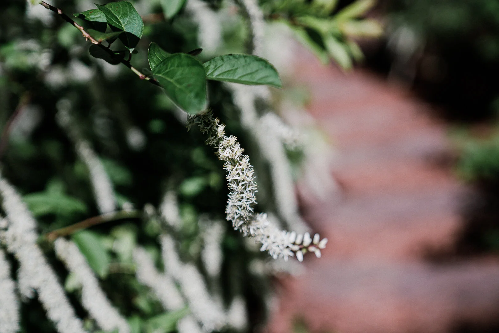 Bright Landscapes LLC